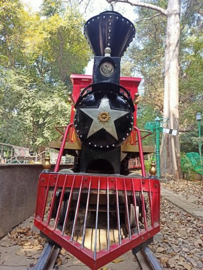 Toy Train Working Inside Lucknow Zoo